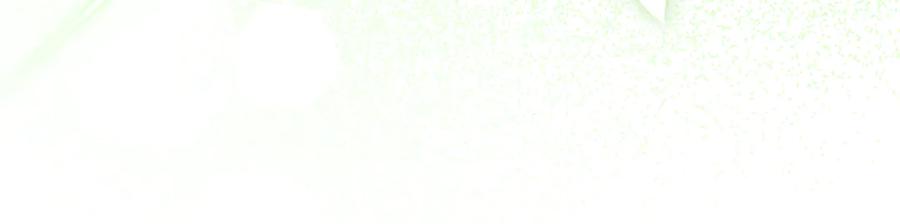 第259页