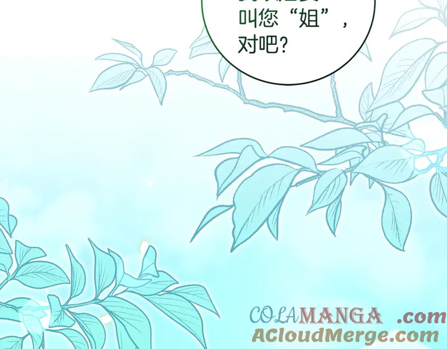 第250页