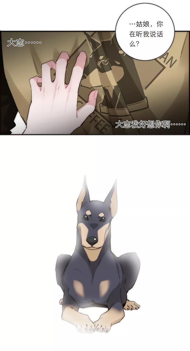 第51页