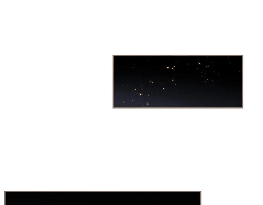 第206页