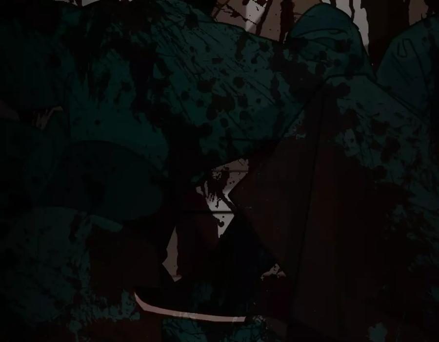 第223页