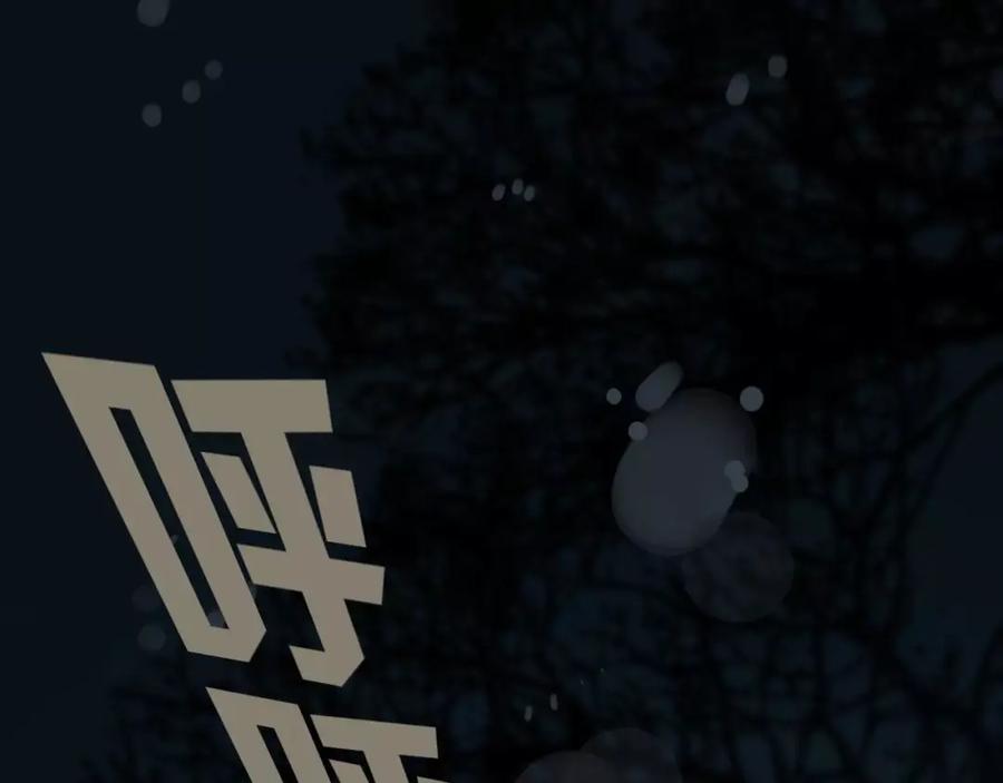第204页