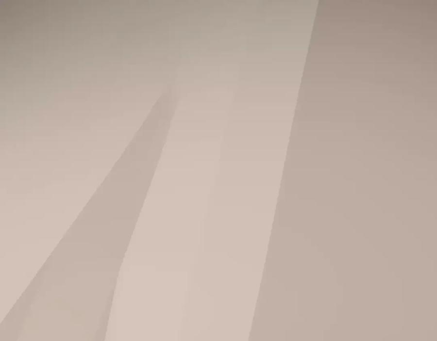 第223页