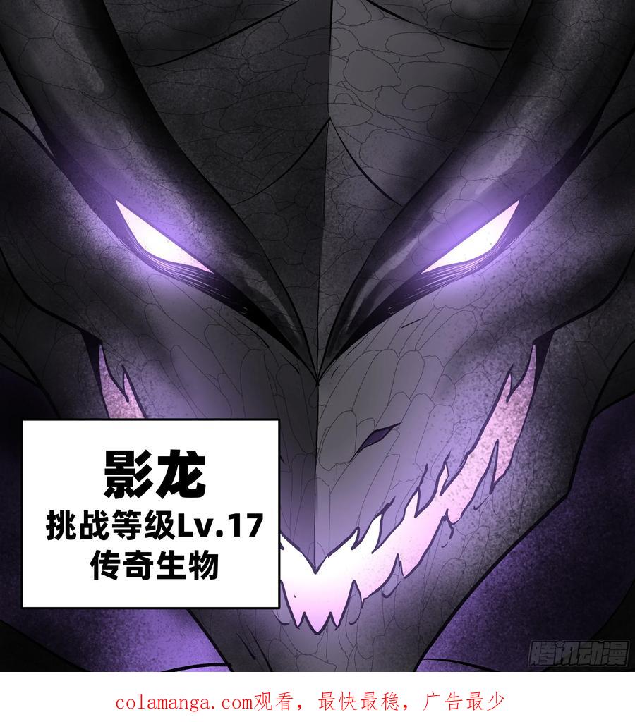 第204页