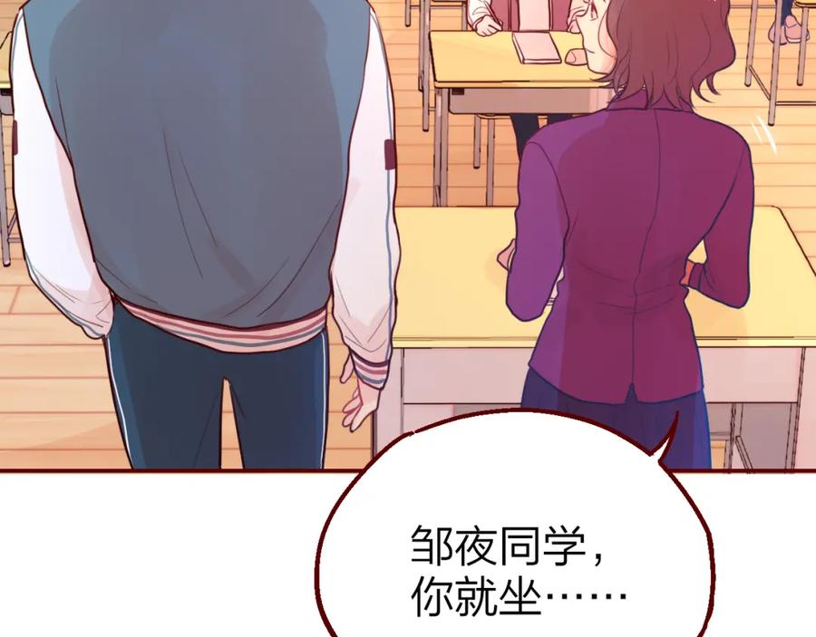 第204页