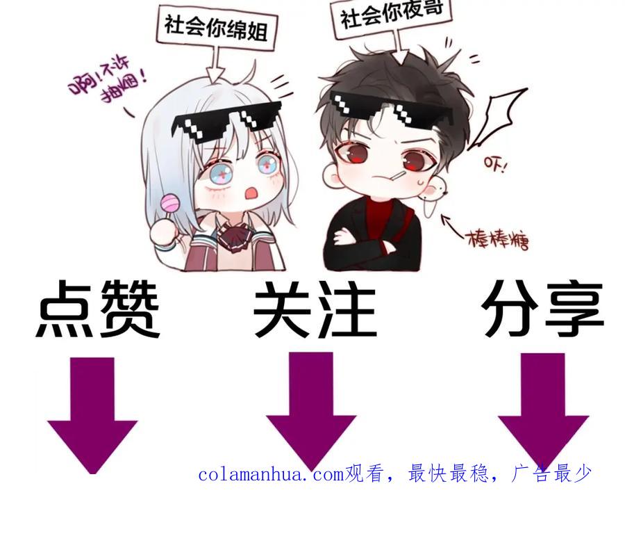 第223页