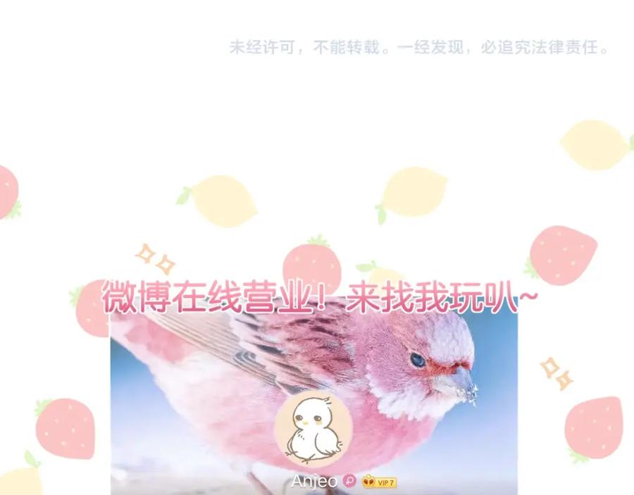第176页