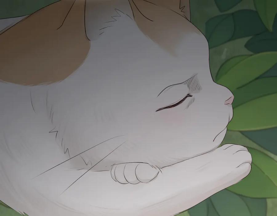 第77页