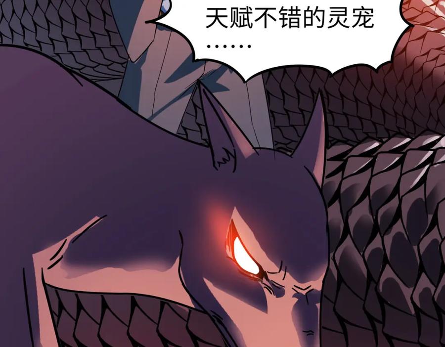第204页