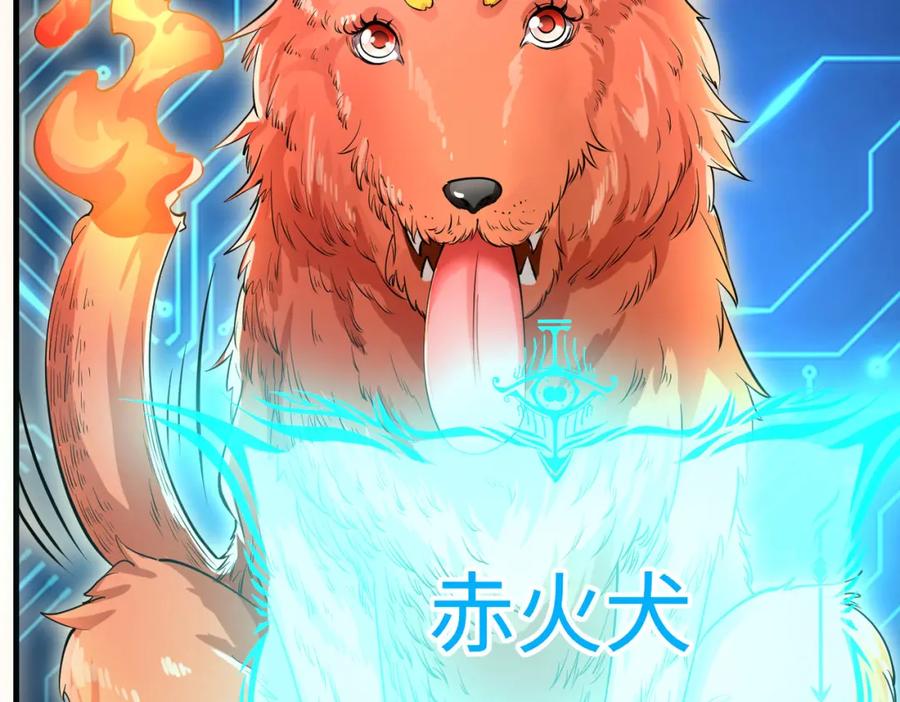 第211页