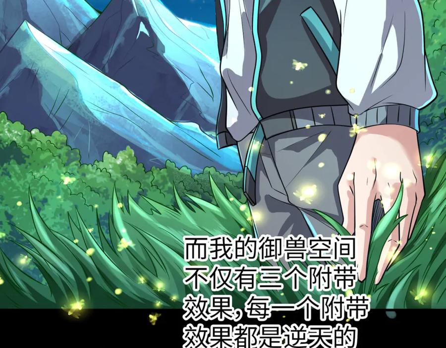 第243页