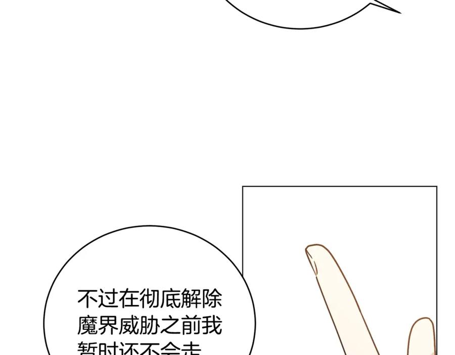 第223页