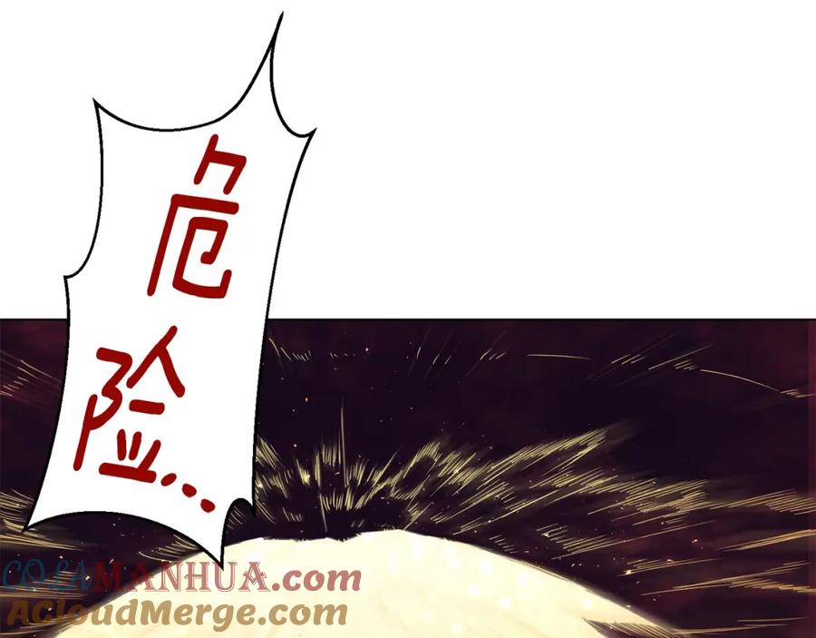 第213页