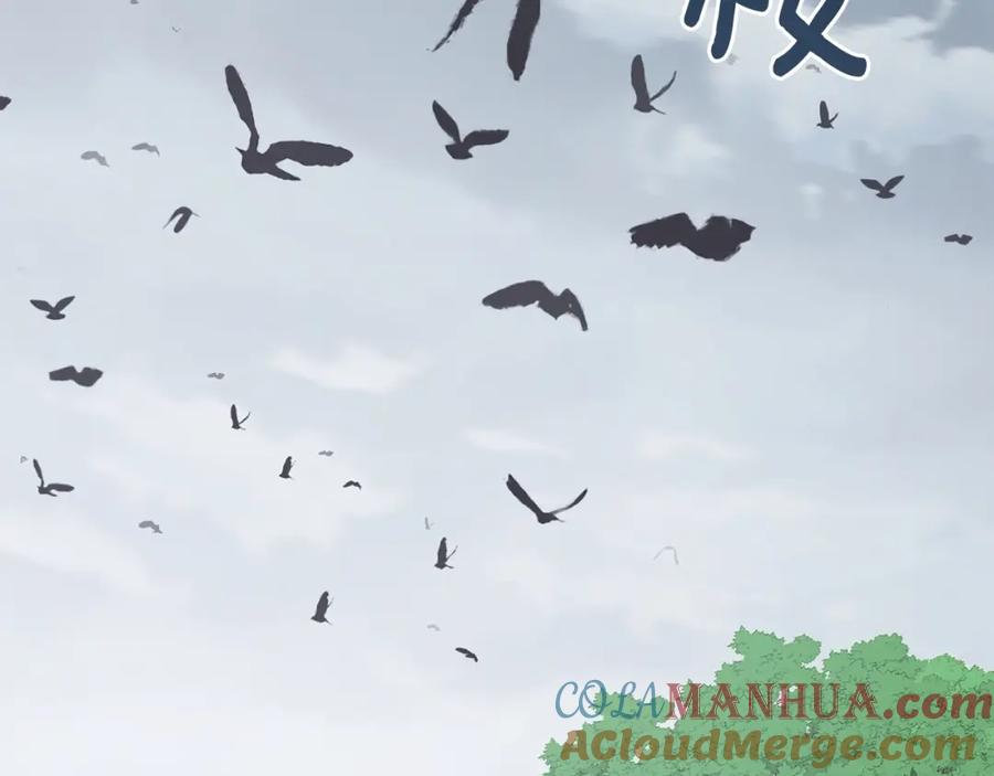 第185页