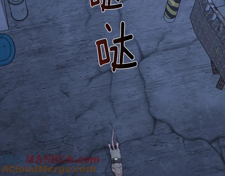 第169页