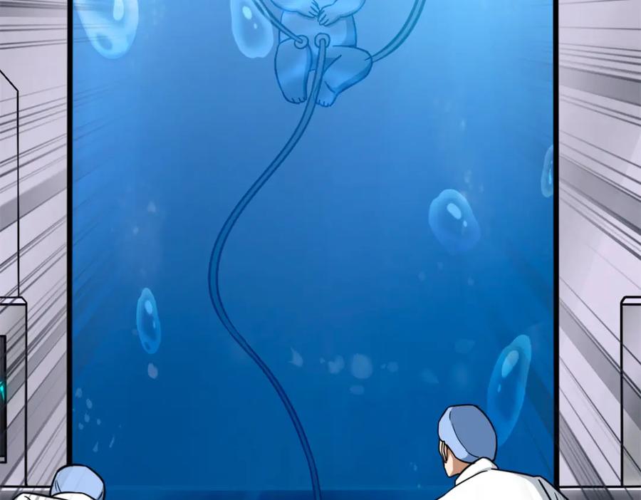 第246页