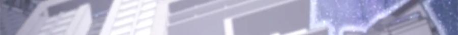 第298页