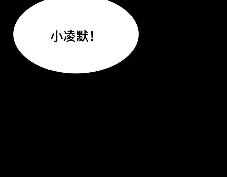 第223页