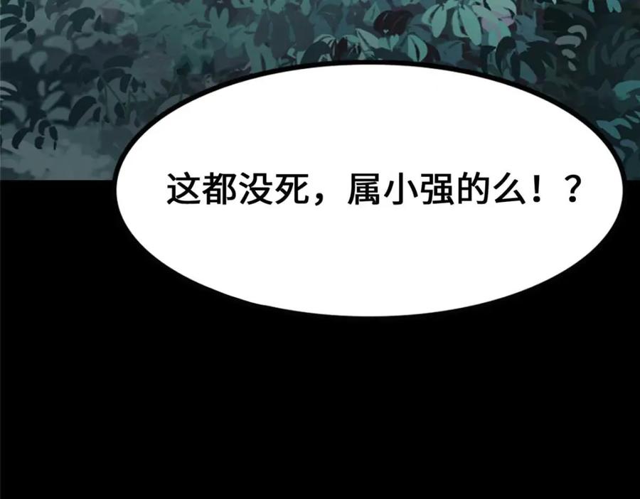 第215页