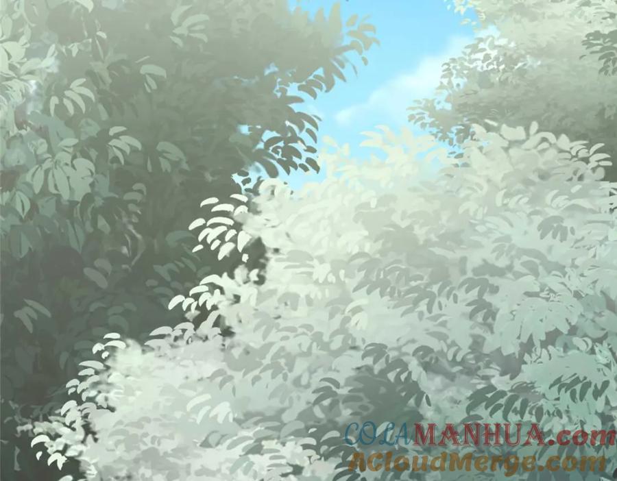 第265页