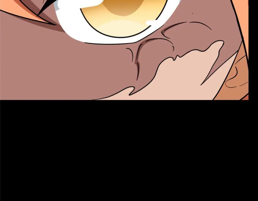 第214页