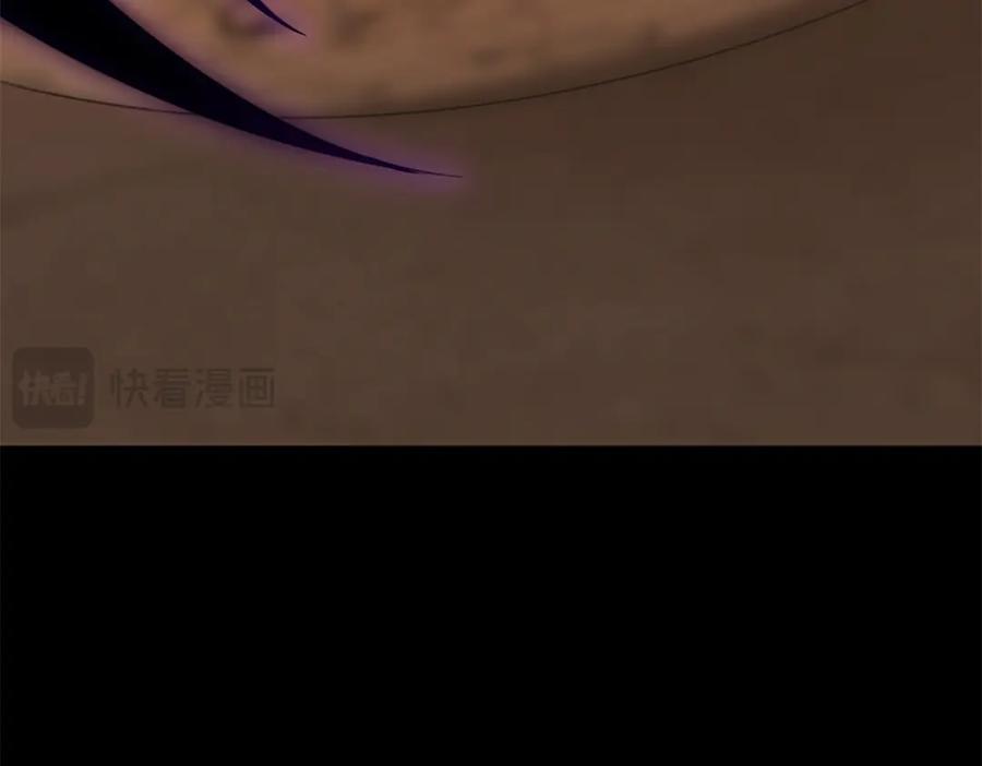 第271页