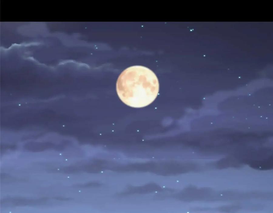 第294页
