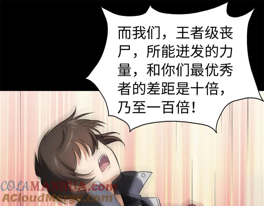 第233页