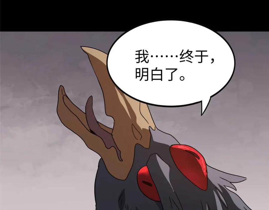 第204页