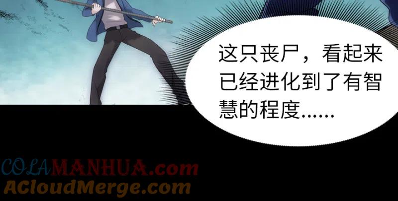 第181页
