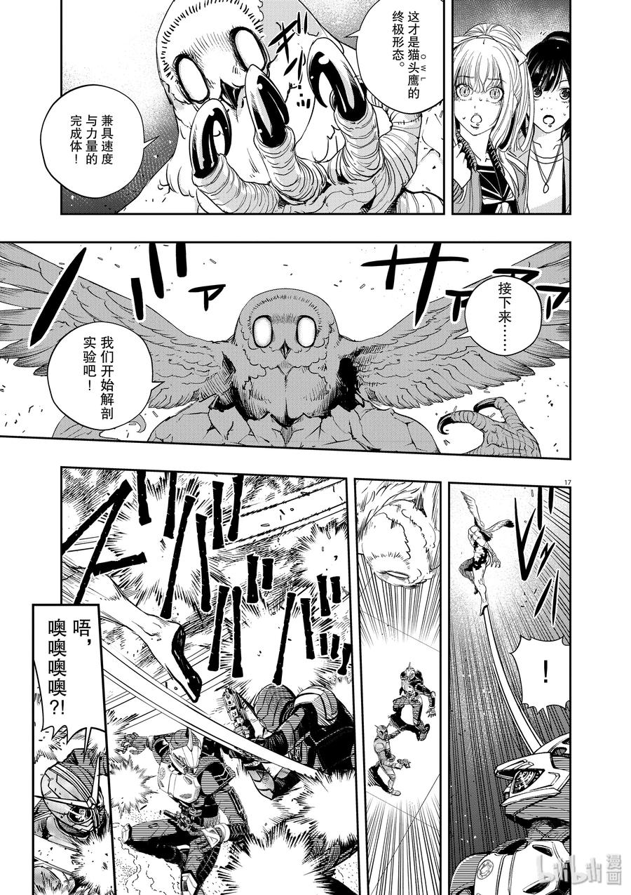 第17页