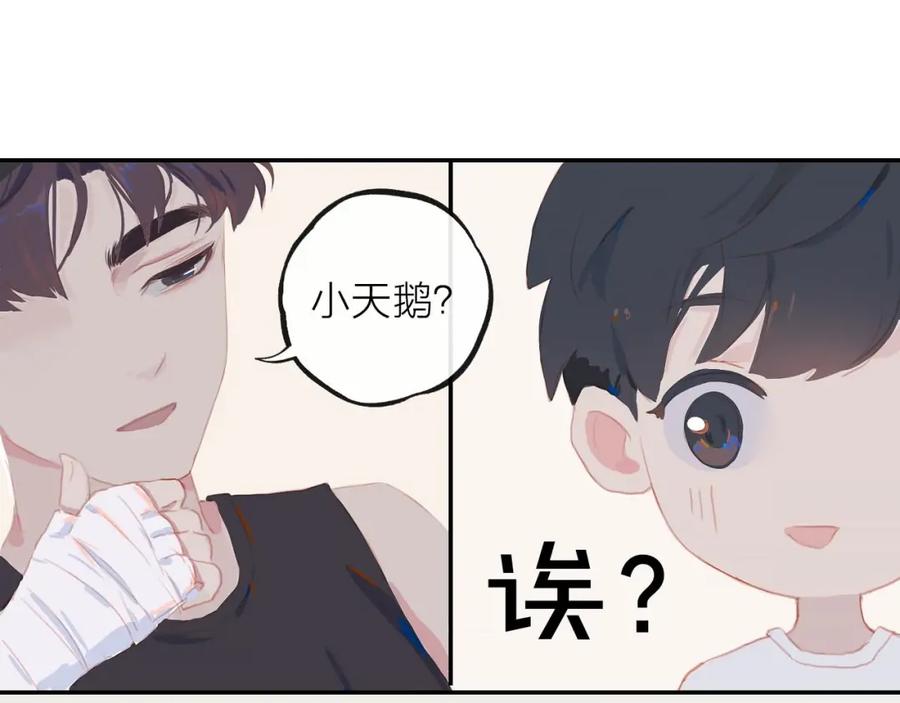 第204页