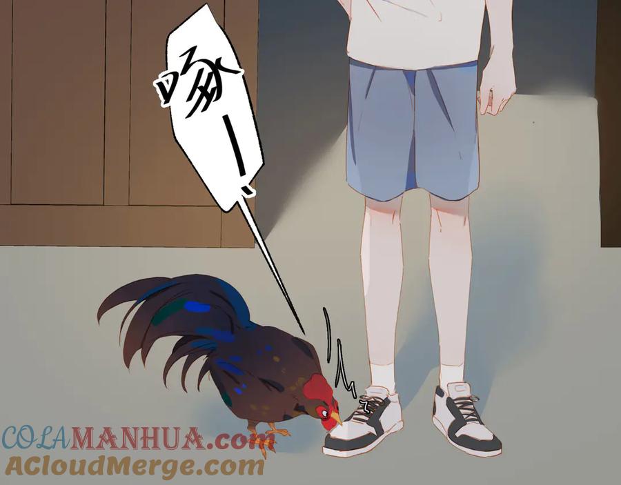 第79页