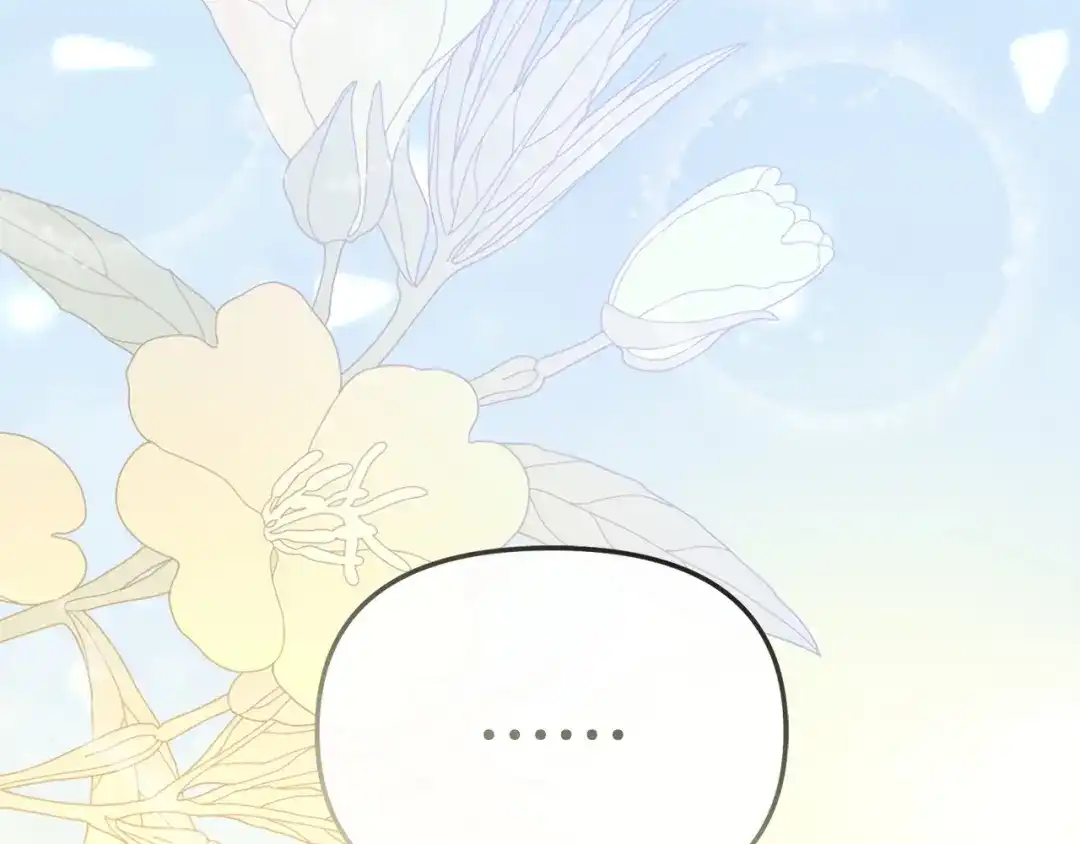第224页