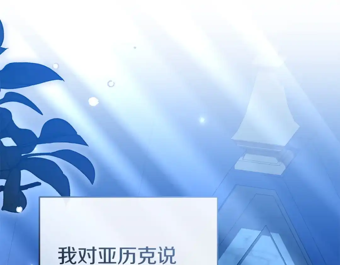 第236页