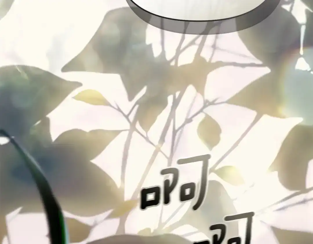 第233页