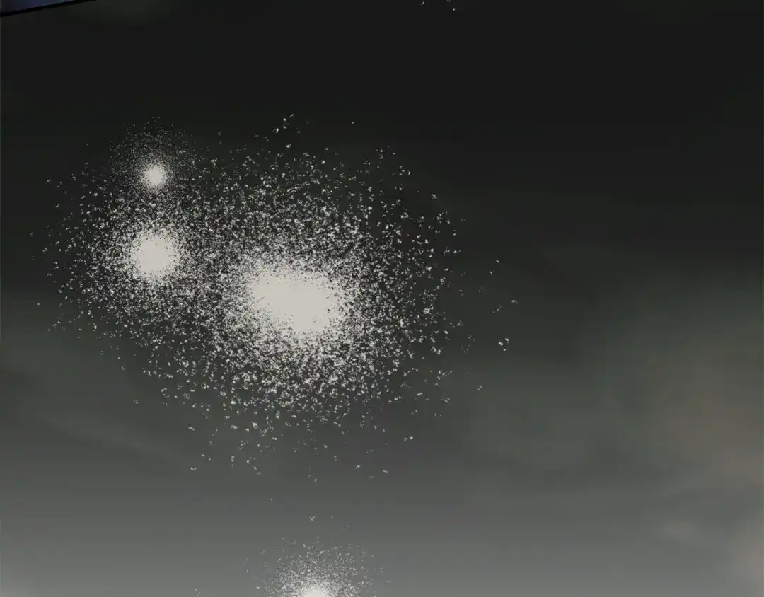 第235页