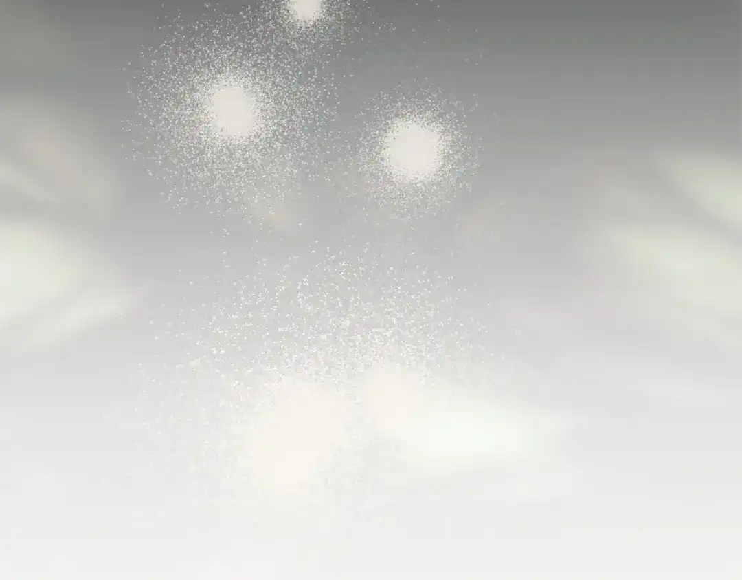 第236页