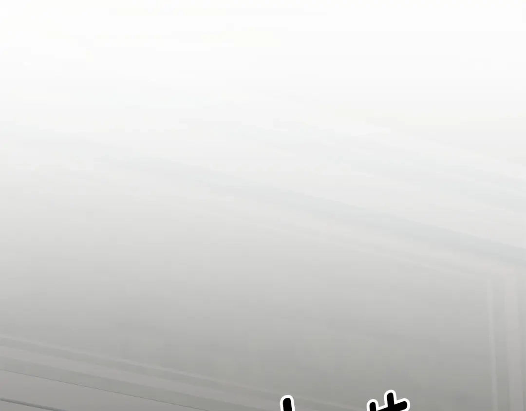 第238页