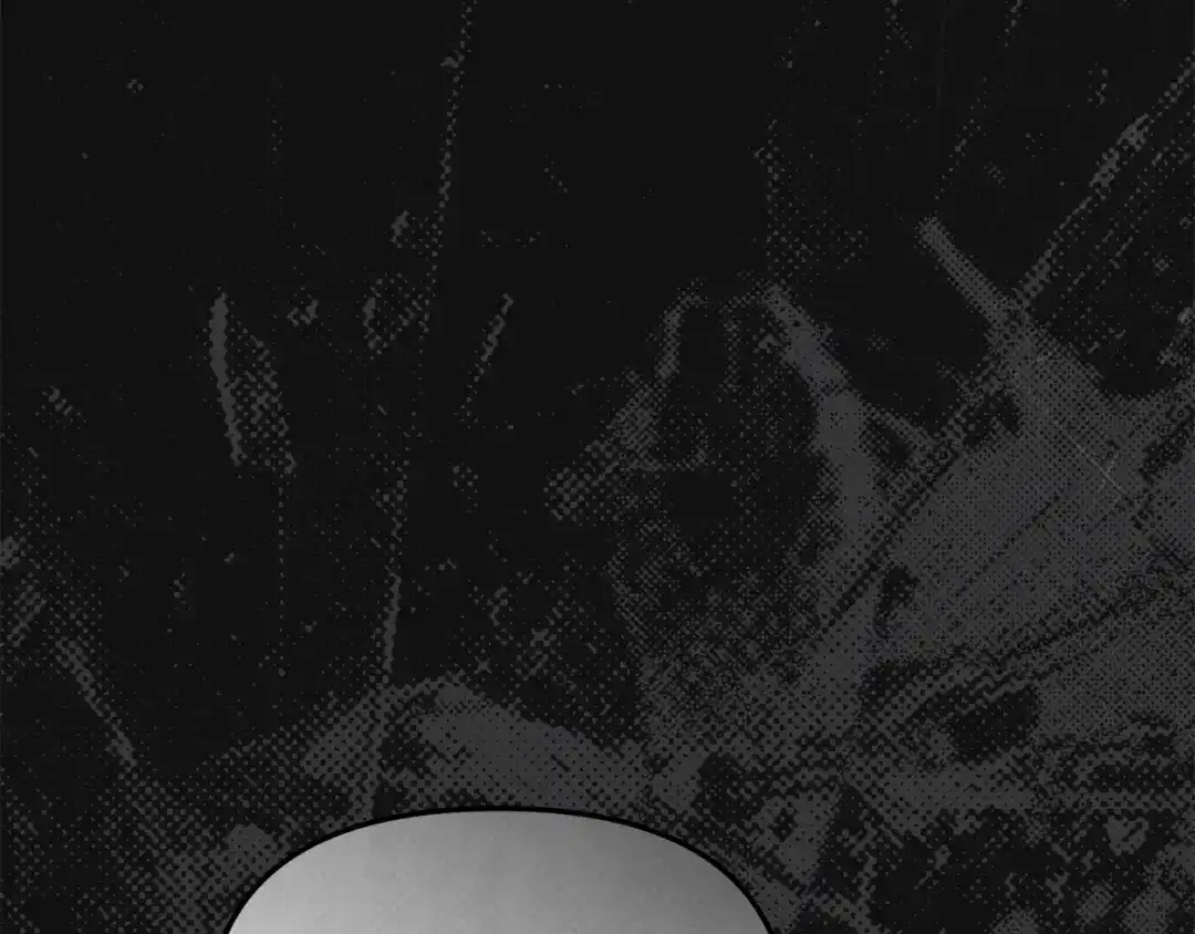 第241页