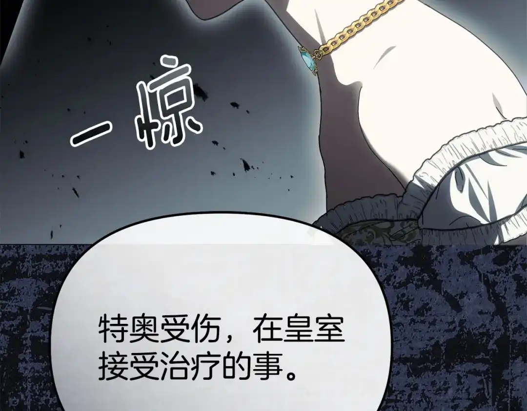 第217页