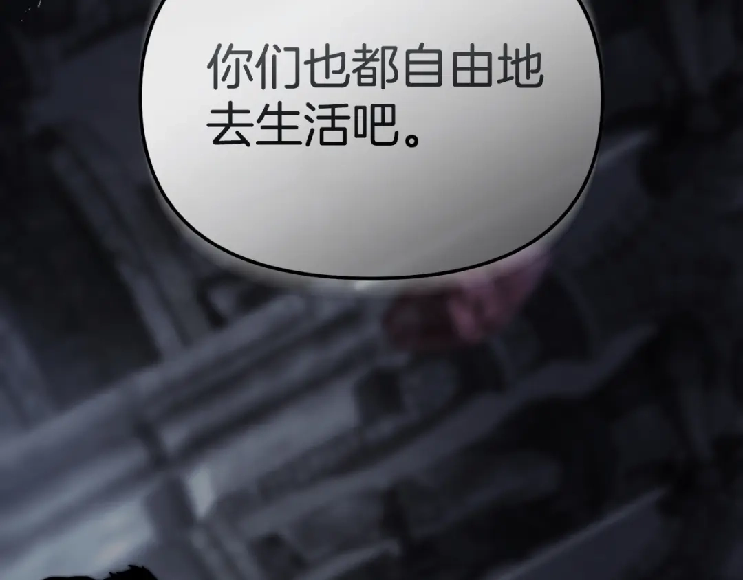 第206页