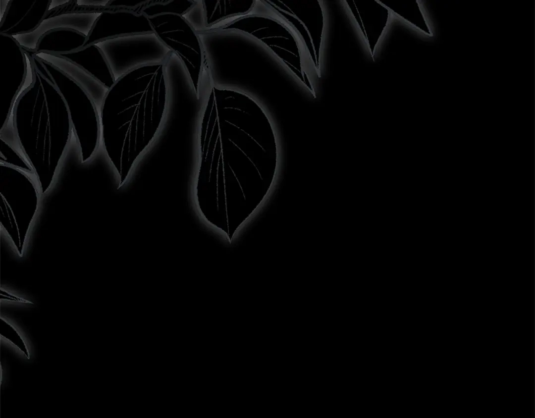 第253页