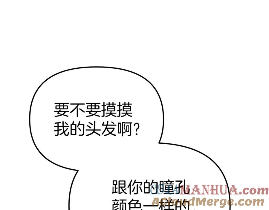 第217页