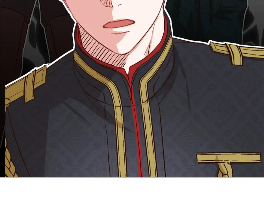 第235页