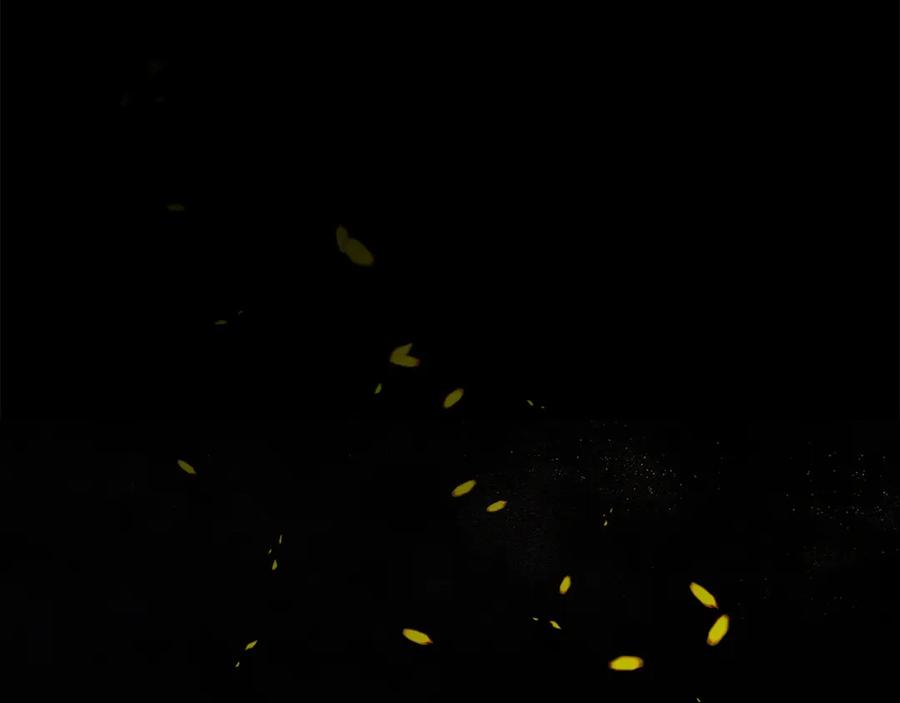 第238页