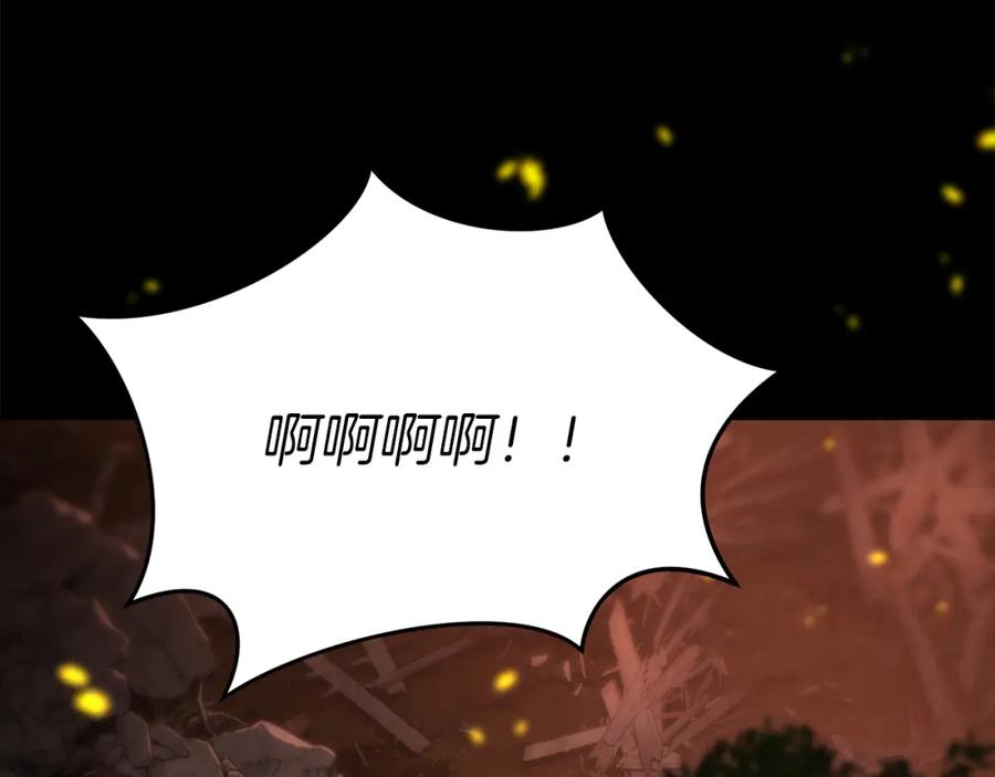 第244页