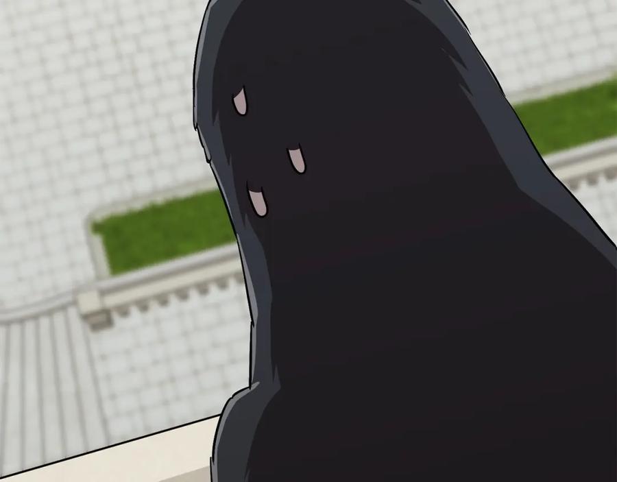 第207页