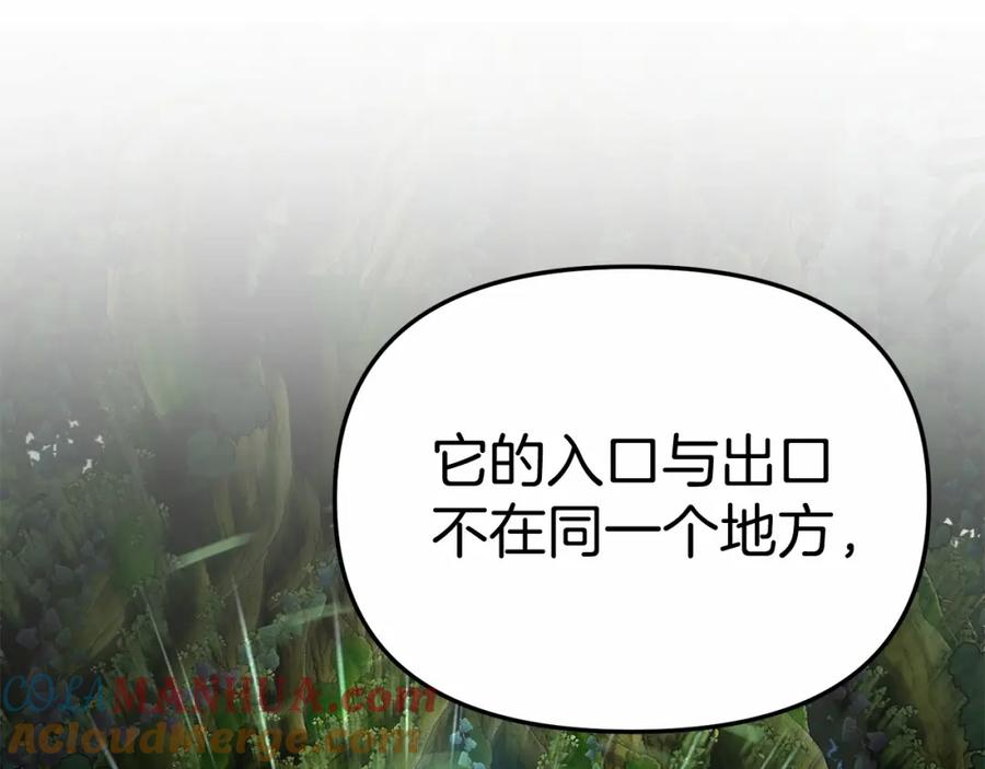 第305页