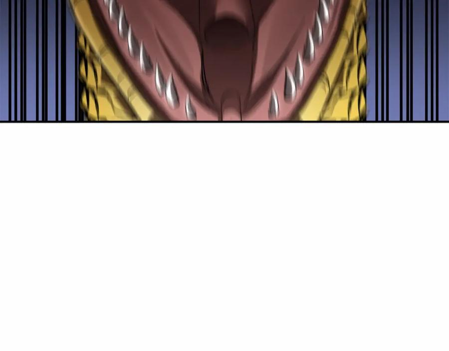 第215页